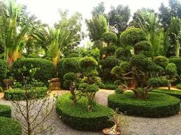 宣威市政绿化种植土单价